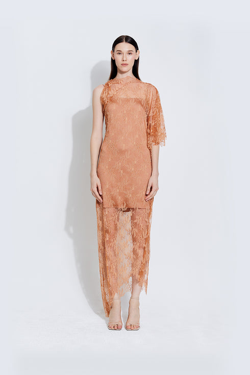 Sinara Blush Lace Dress